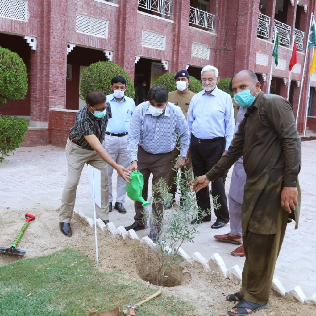 WhatsApp Image 2021-09-09 at 6.18.58 PM