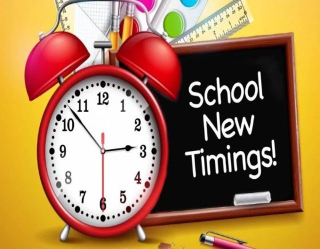 DPS School Timings